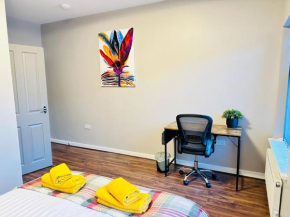 Comfort Suite in Manchester